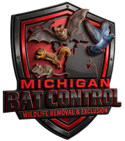 Wildlife Removal Company in Michigan